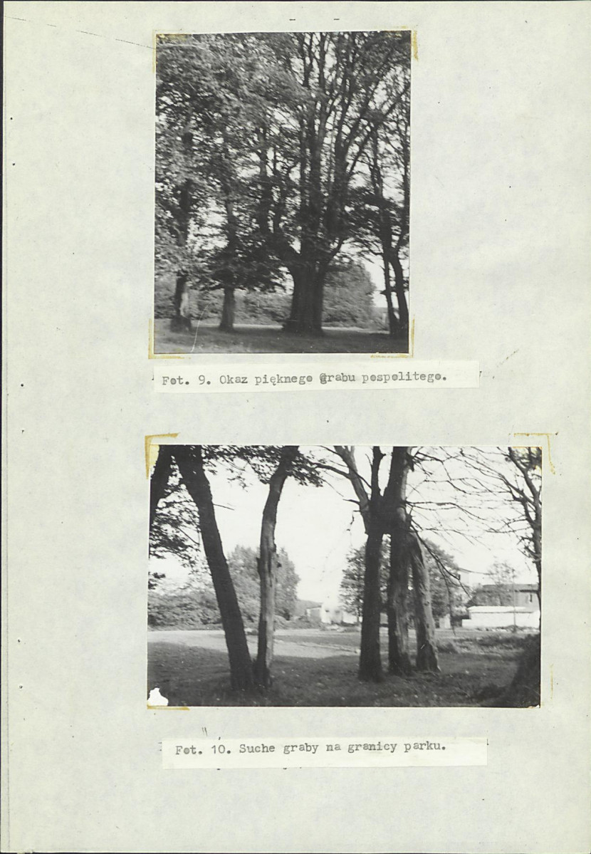 Ewidencja parkowa, skan nr 16