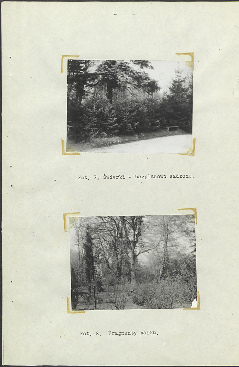 Ewidencja parkowa, skan nr 20