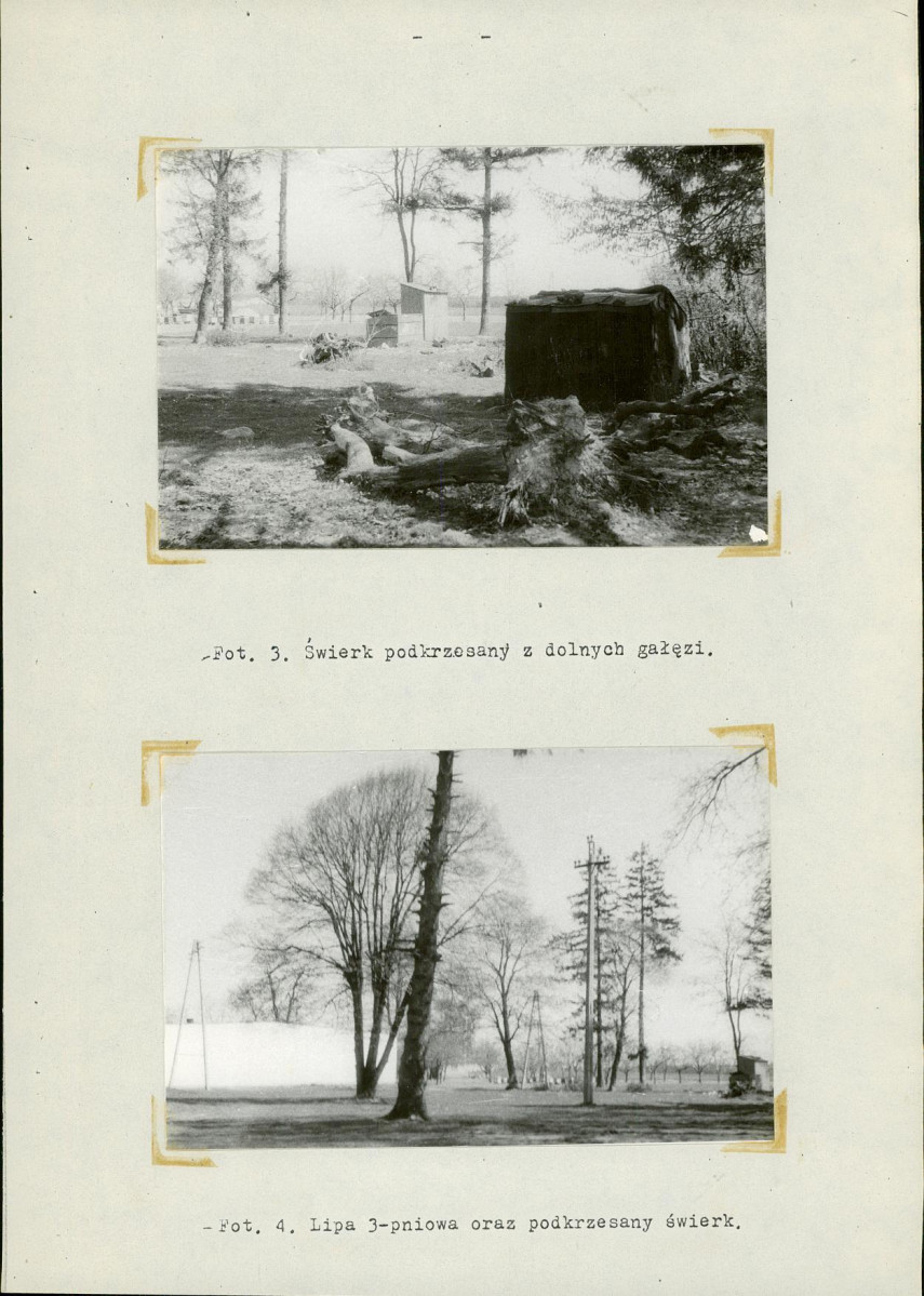 Ewidencja parkowa, skan nr 10