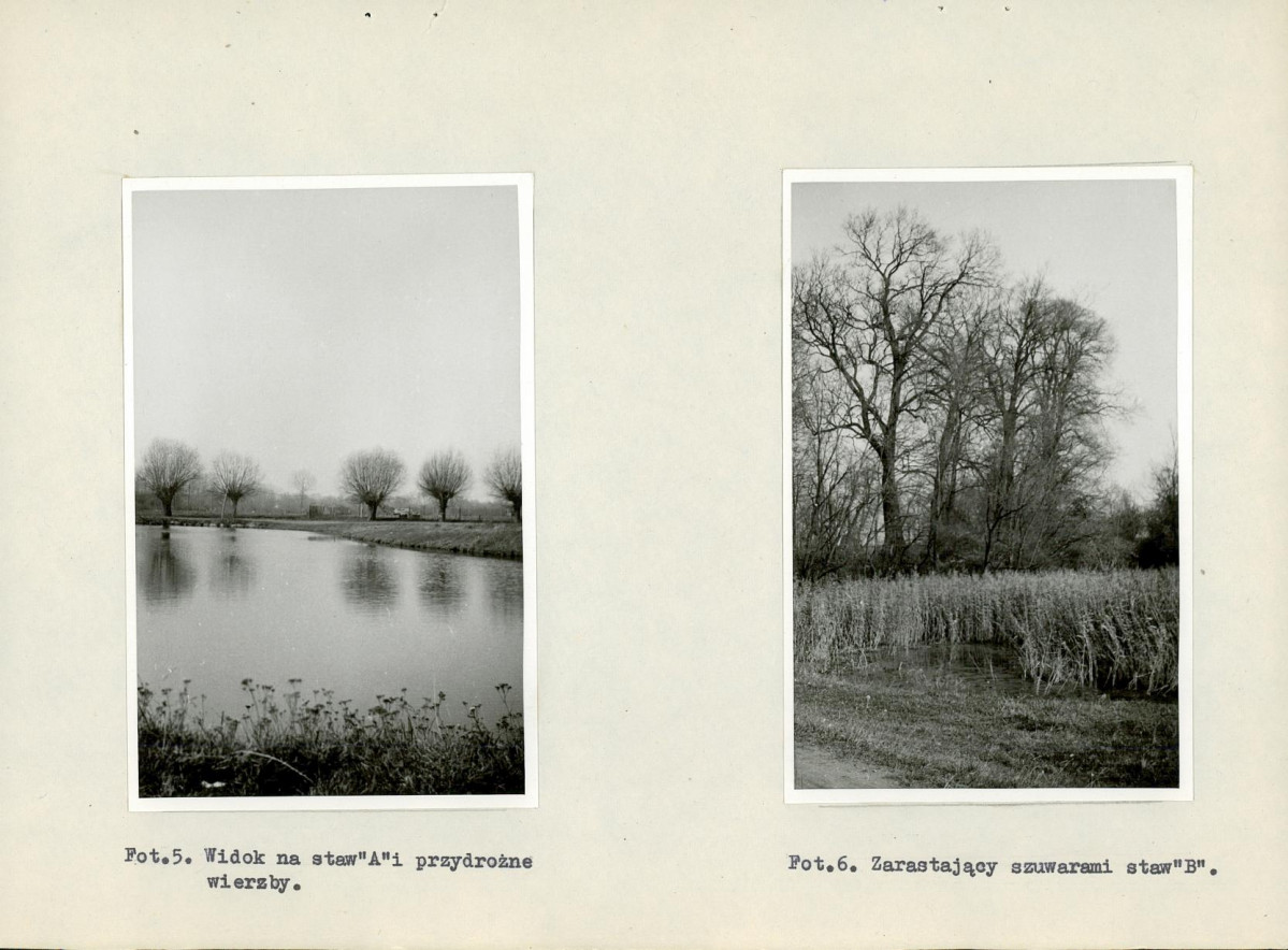 EP - Ewidencja parkowa, skan nr 26