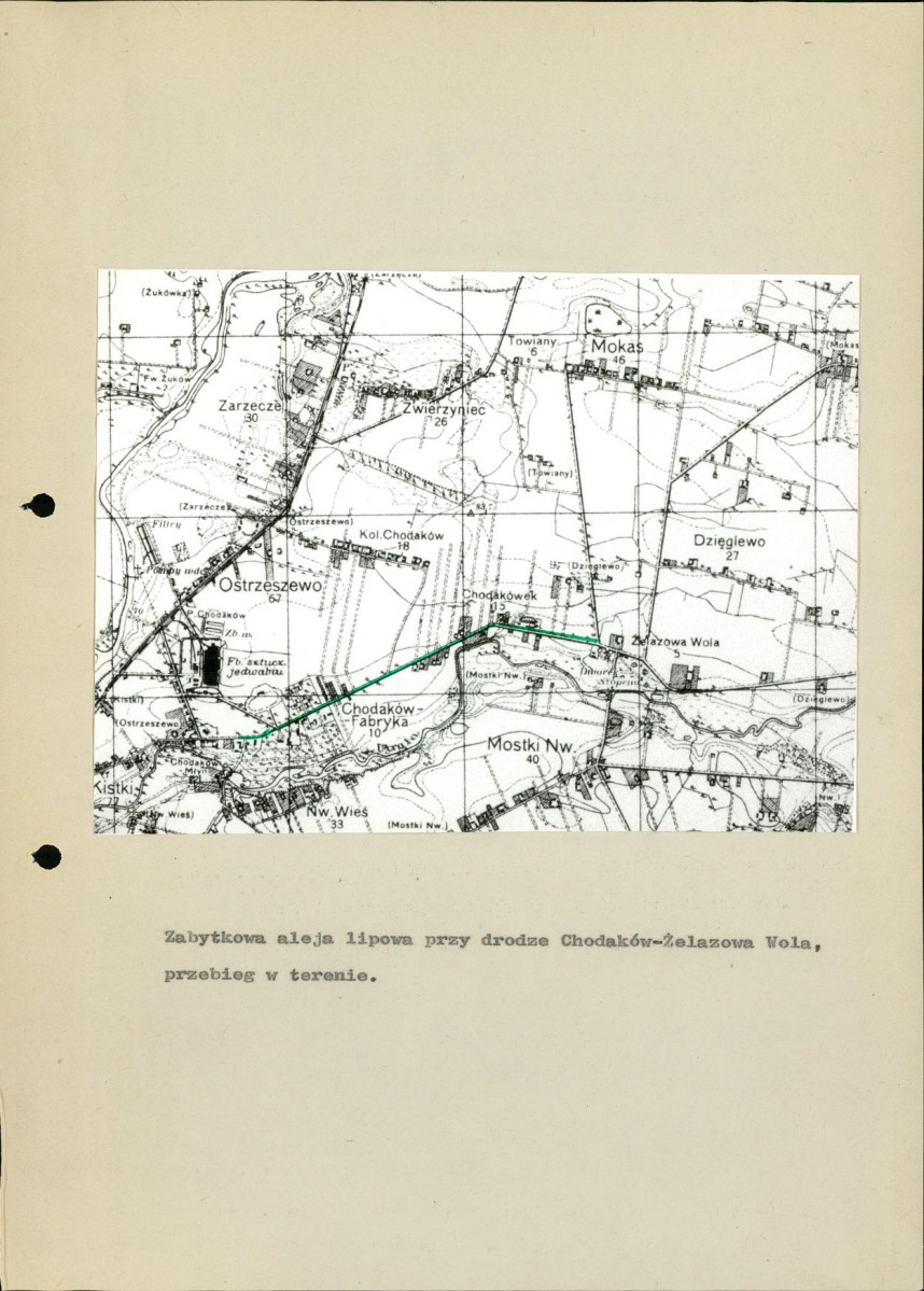Ewidencja parkowa, skan nr 10