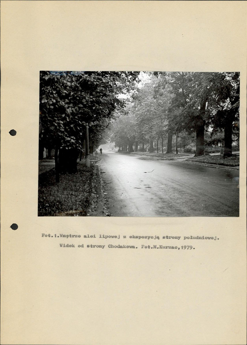 Ewidencja parkowa, skan nr 11