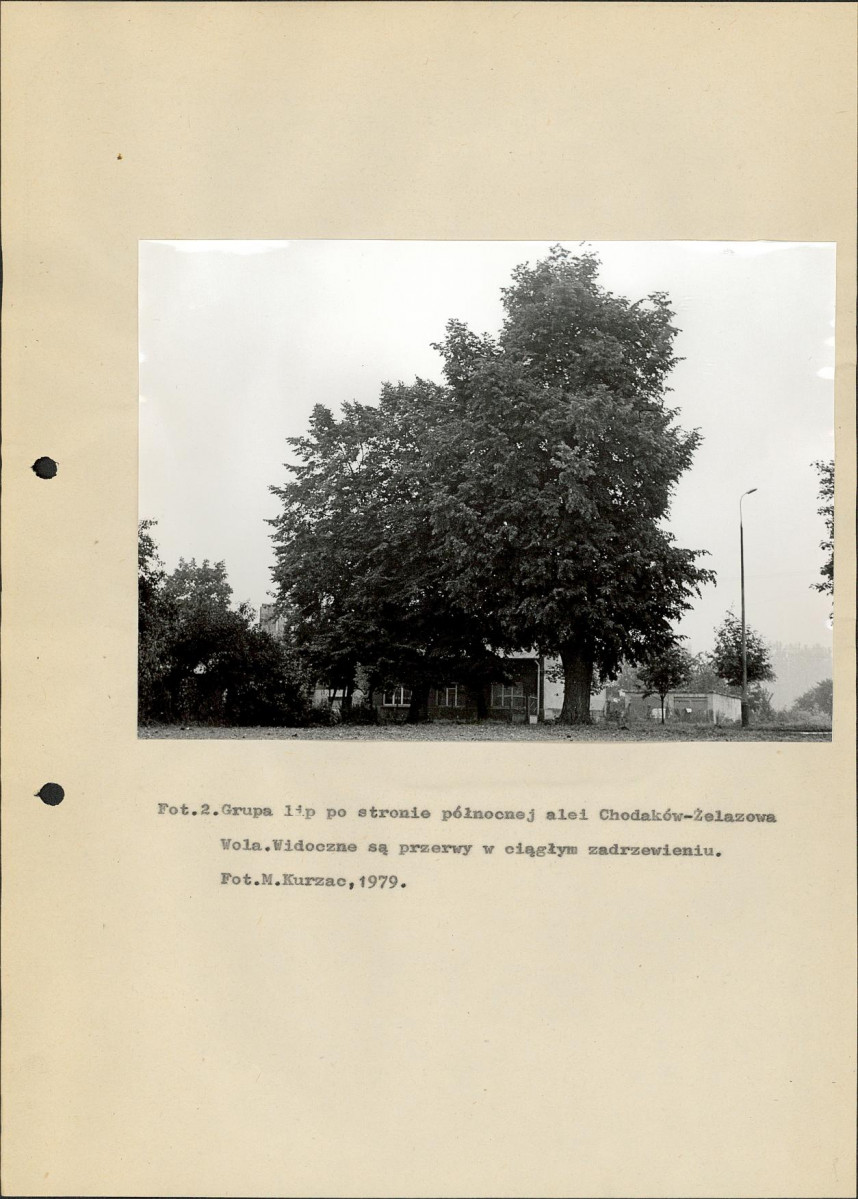 Ewidencja parkowa, skan nr 12