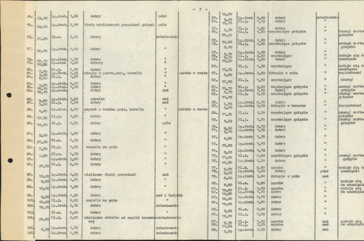 Ewidencja parkowa, skan nr 15