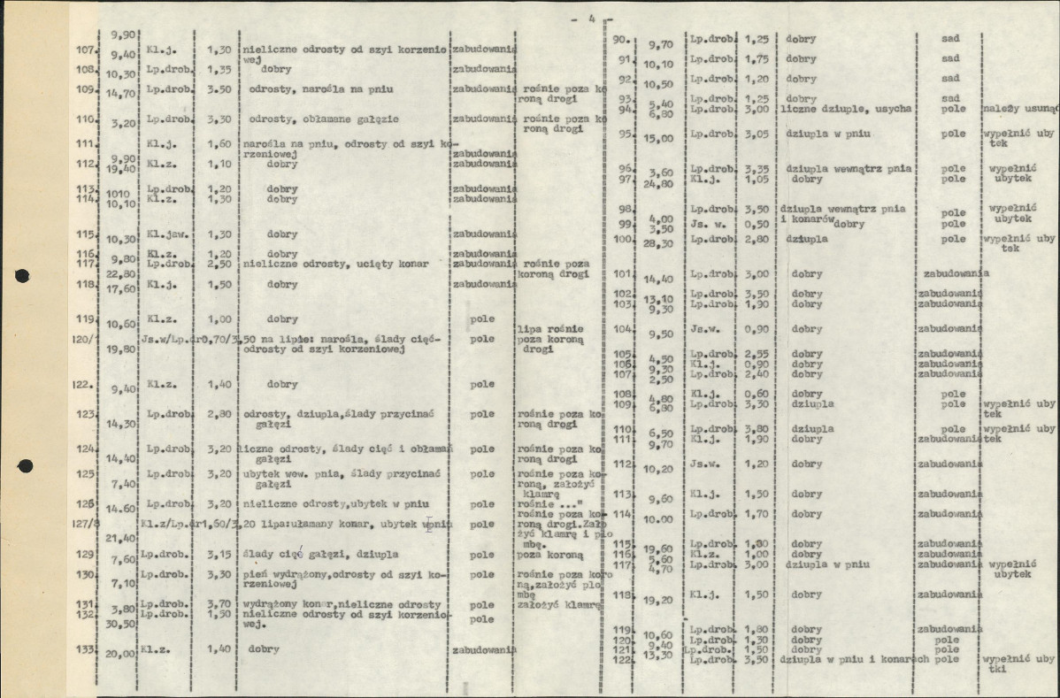 Ewidencja parkowa, skan nr 16
