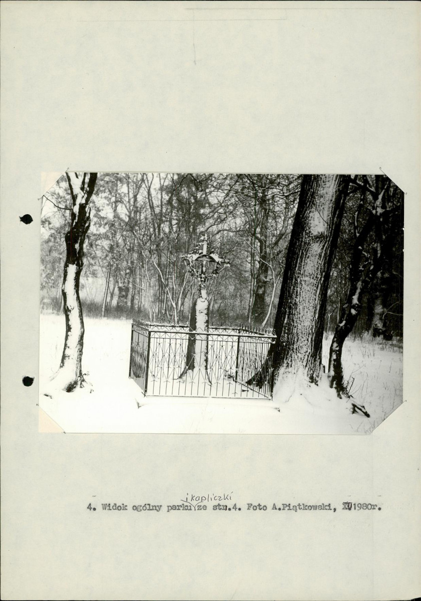 Ewidencja parkowa, skan nr 24