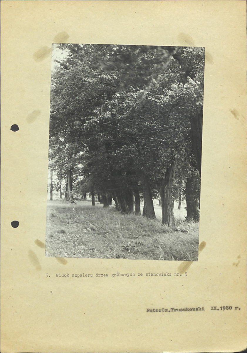 Ewidencja parkowa, skan nr 24