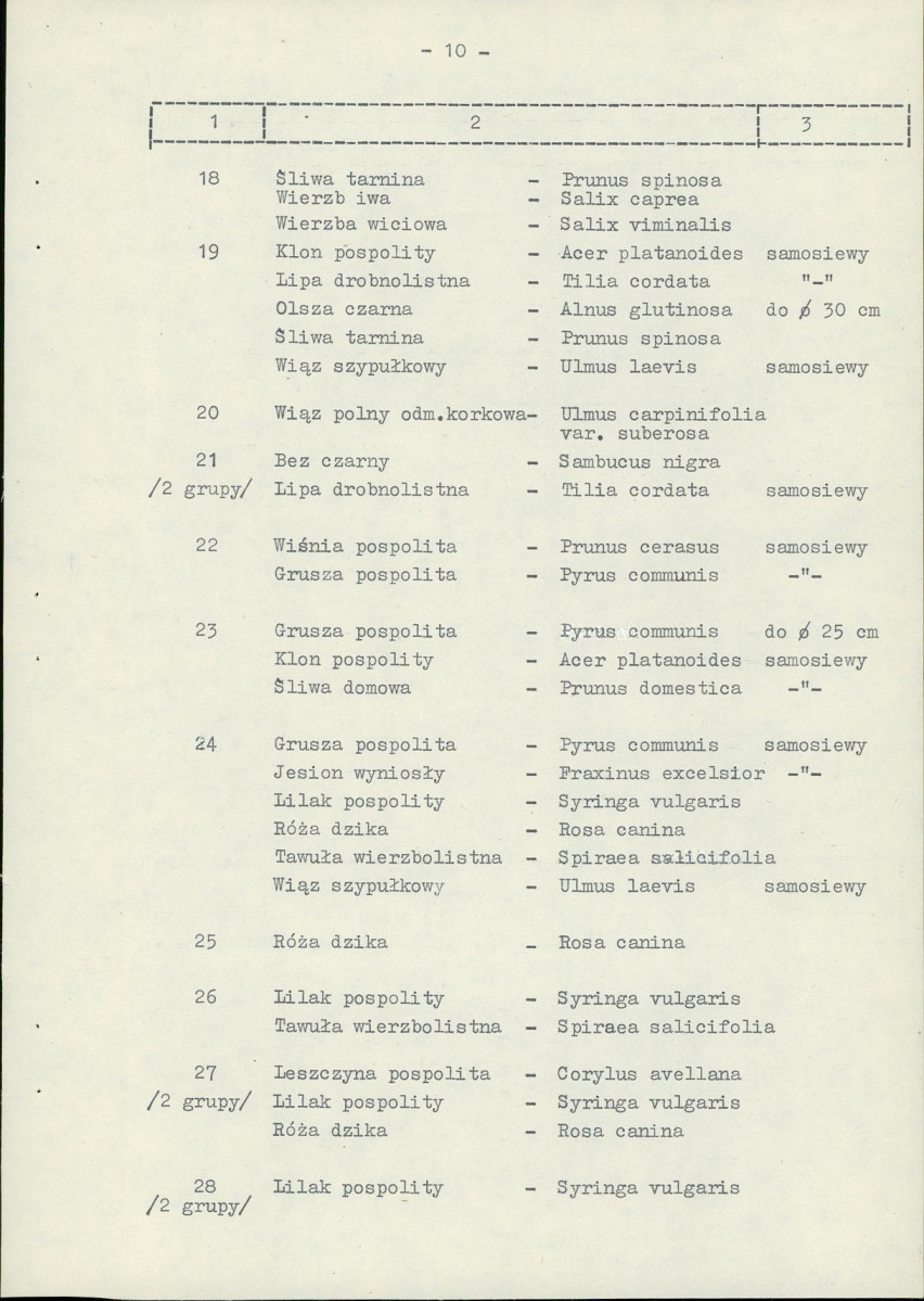 Ewidencja parkowa, skan nr 19