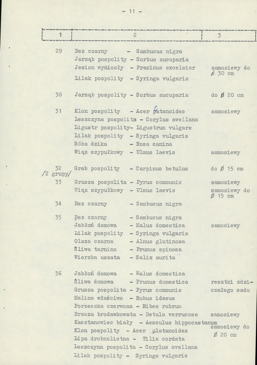Ewidencja parkowa, skan nr 20