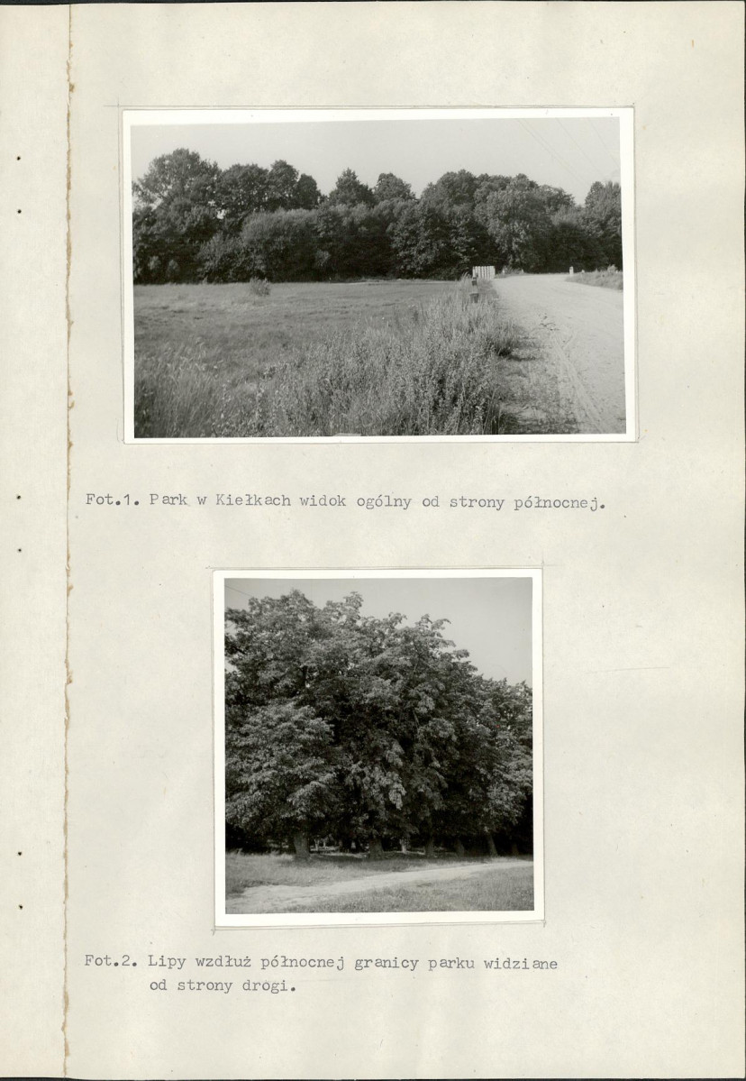 Ewidencja parkowa, skan nr 26
