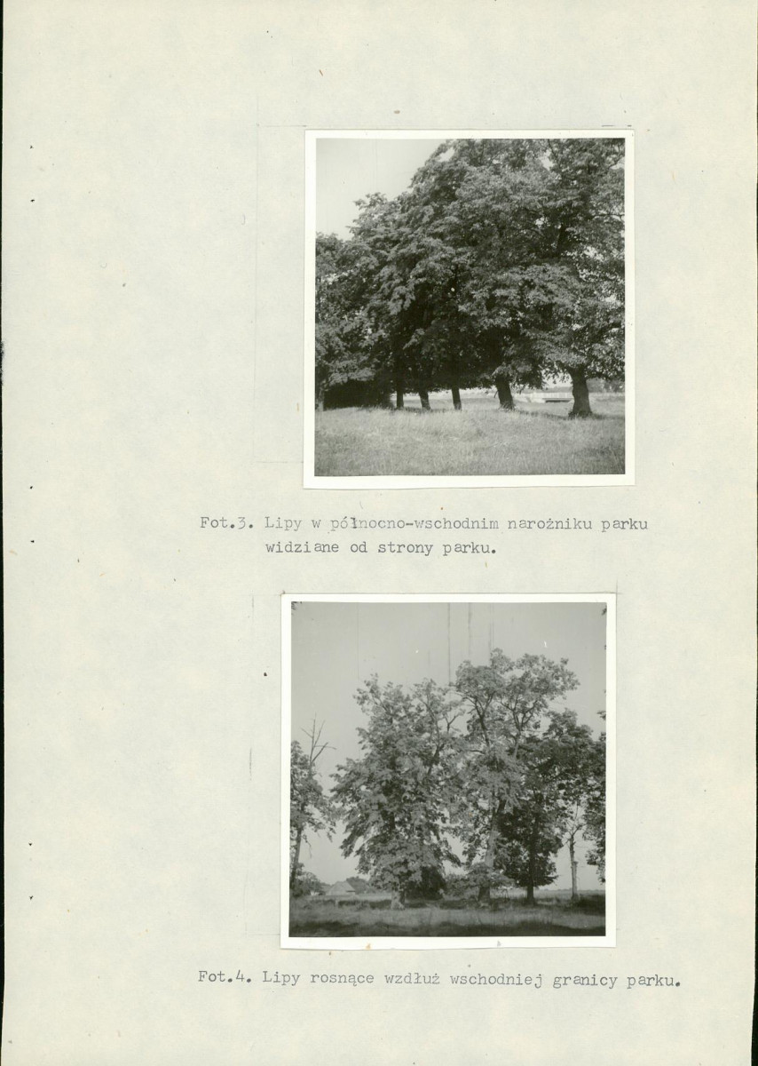 Ewidencja parkowa, skan nr 27