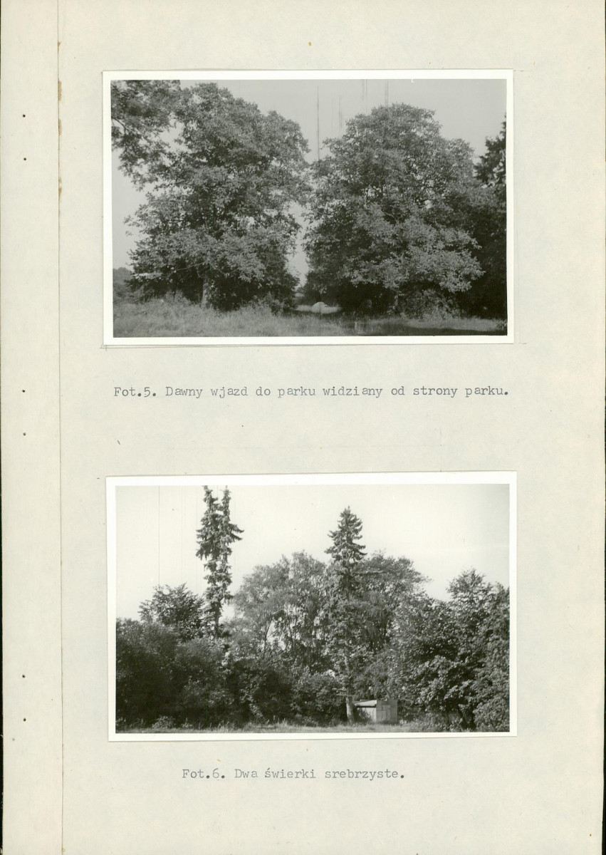 Ewidencja parkowa, skan nr 28