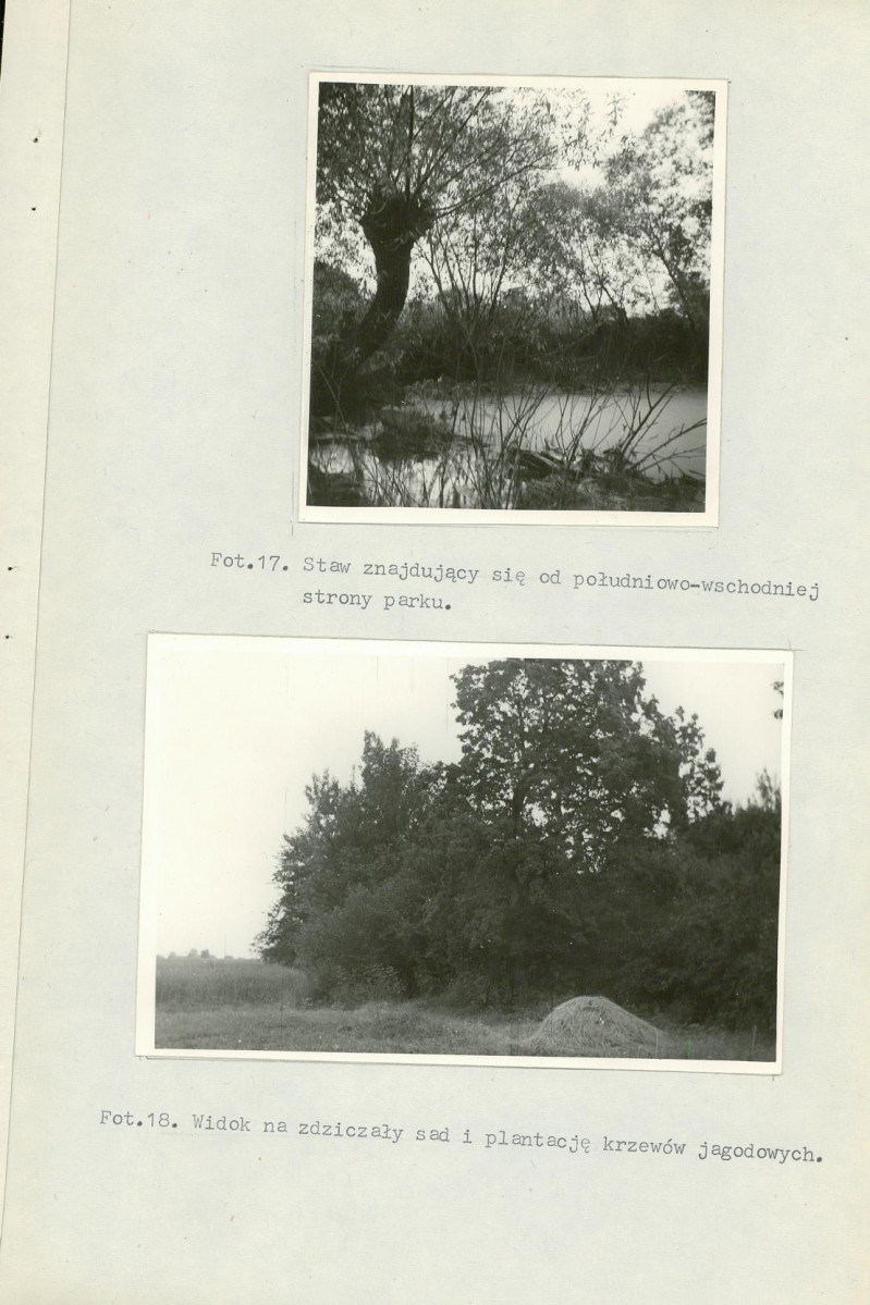 Ewidencja parkowa, skan nr 34