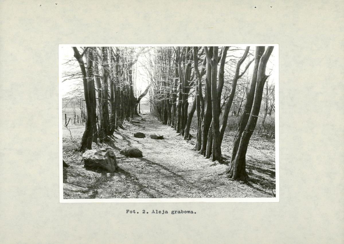 Ewidencja parkowa, skan nr 33