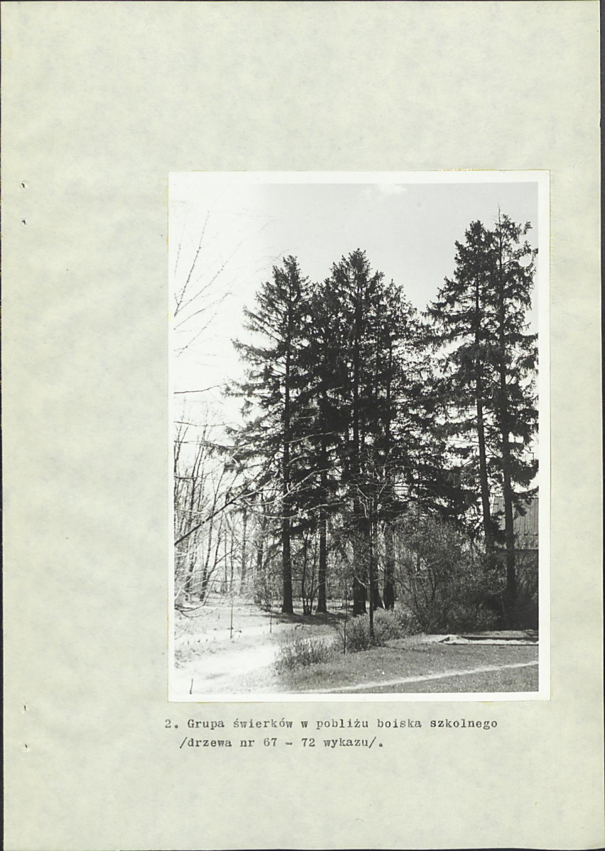 Ewidencja parkowa, skan nr 30