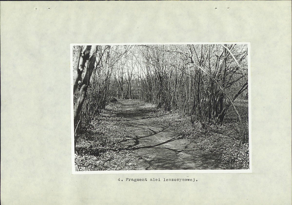 Ewidencja parkowa, skan nr 32