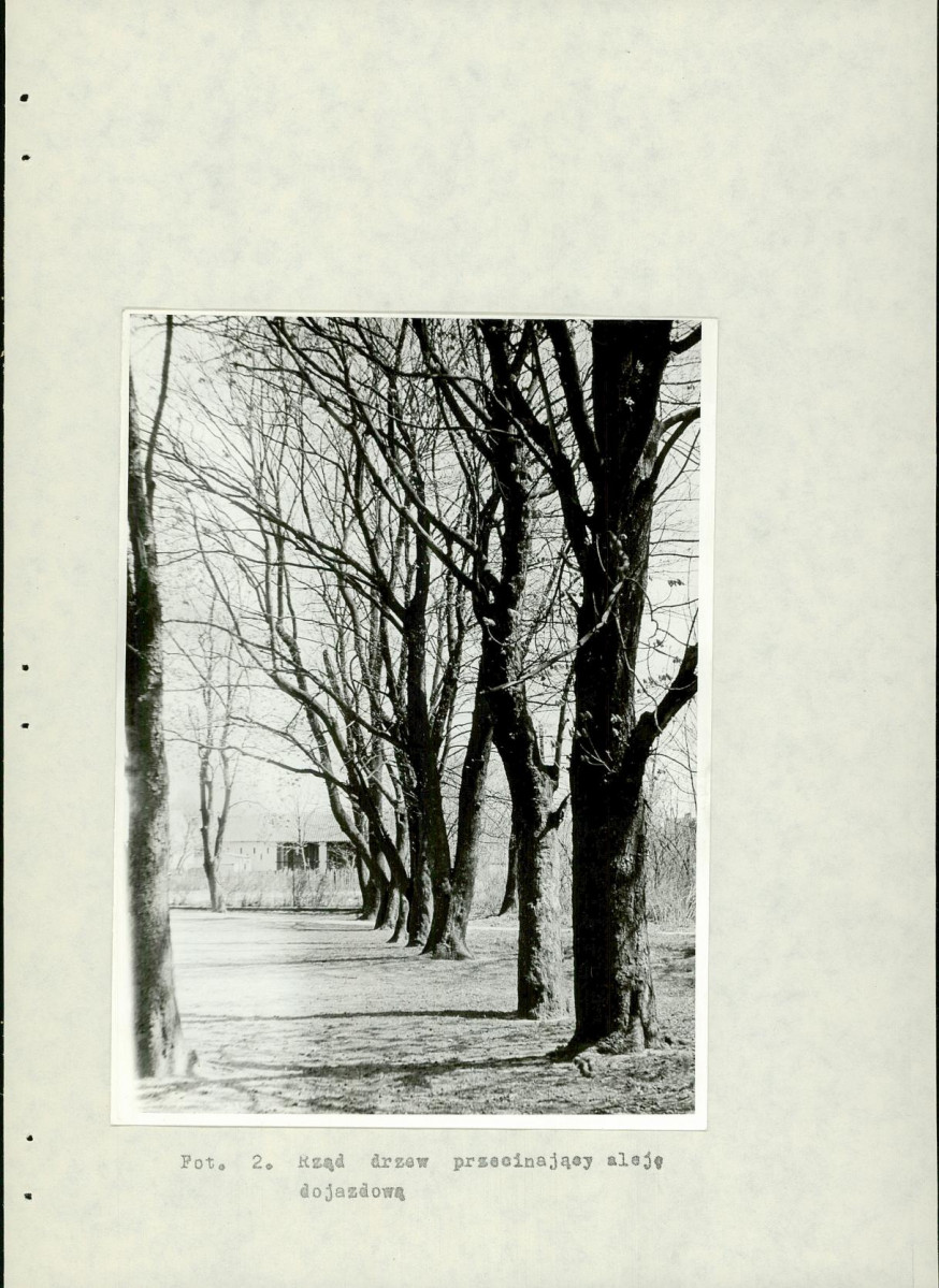 Ewidencja parkowa, skan nr 28