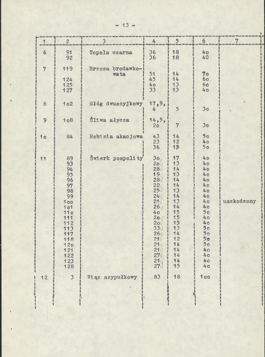 Ewidencja parkowa, skan nr 21