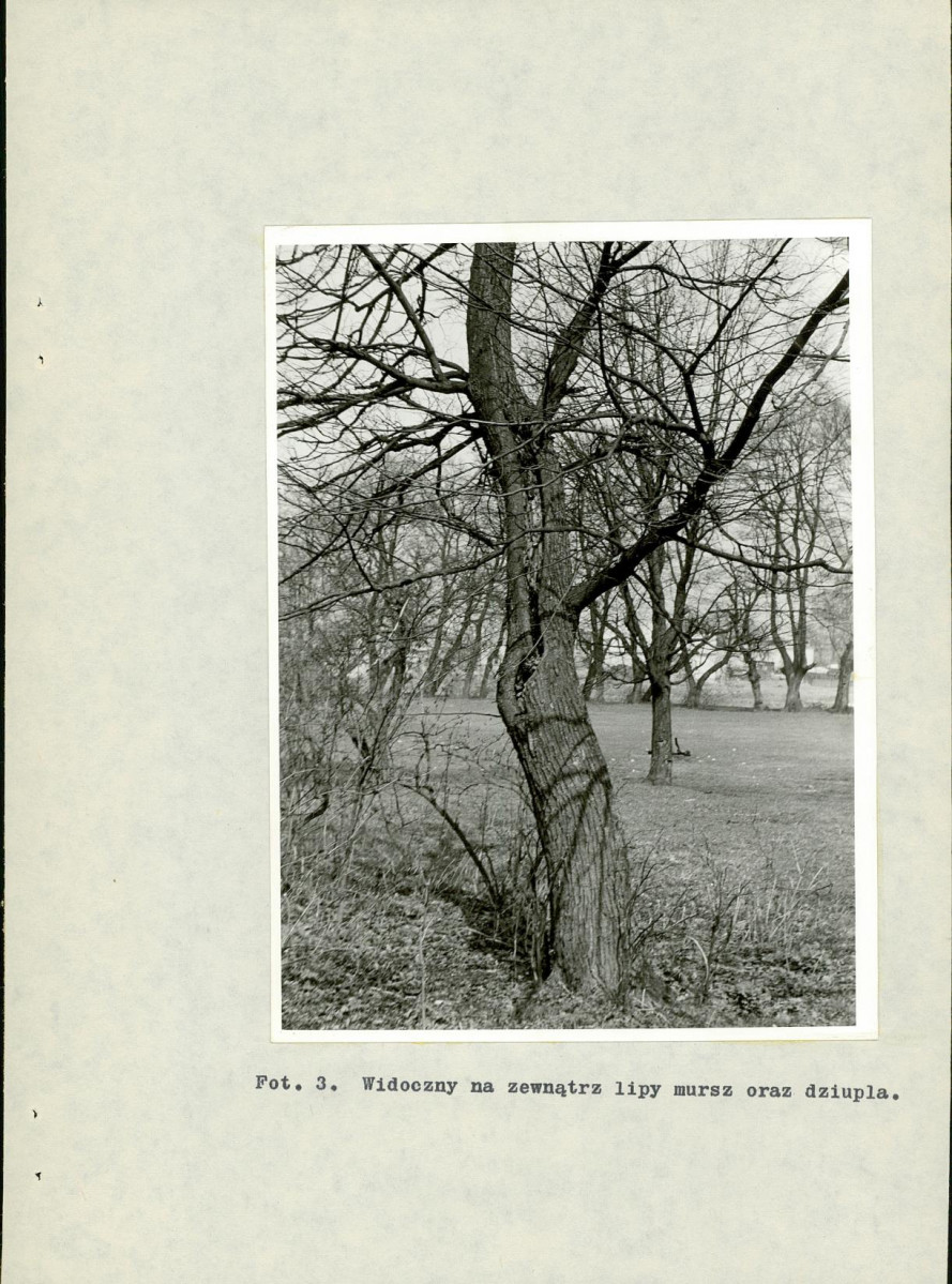 Ewidencja parkowa, skan nr 30