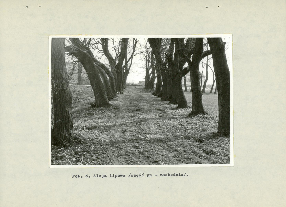 Ewidencja parkowa, skan nr 32