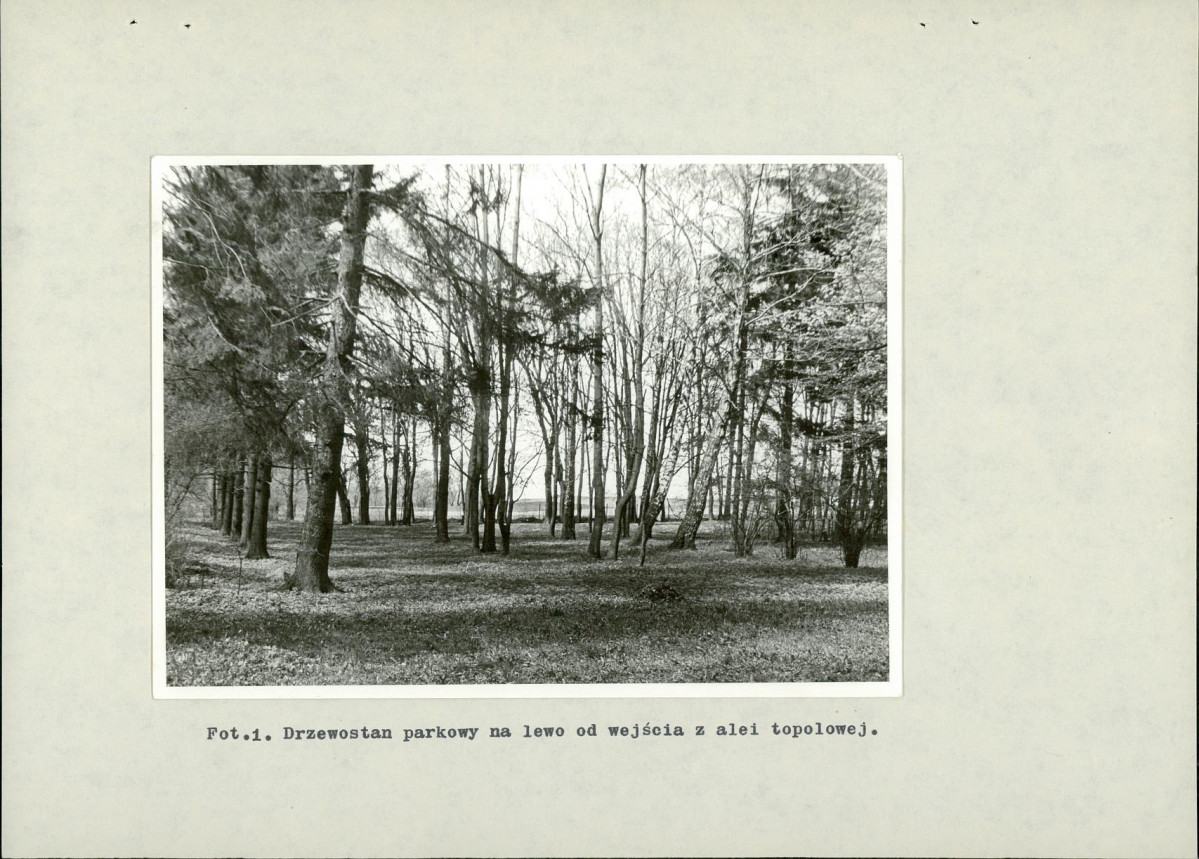 Ewidencja parkowa, skan nr 34