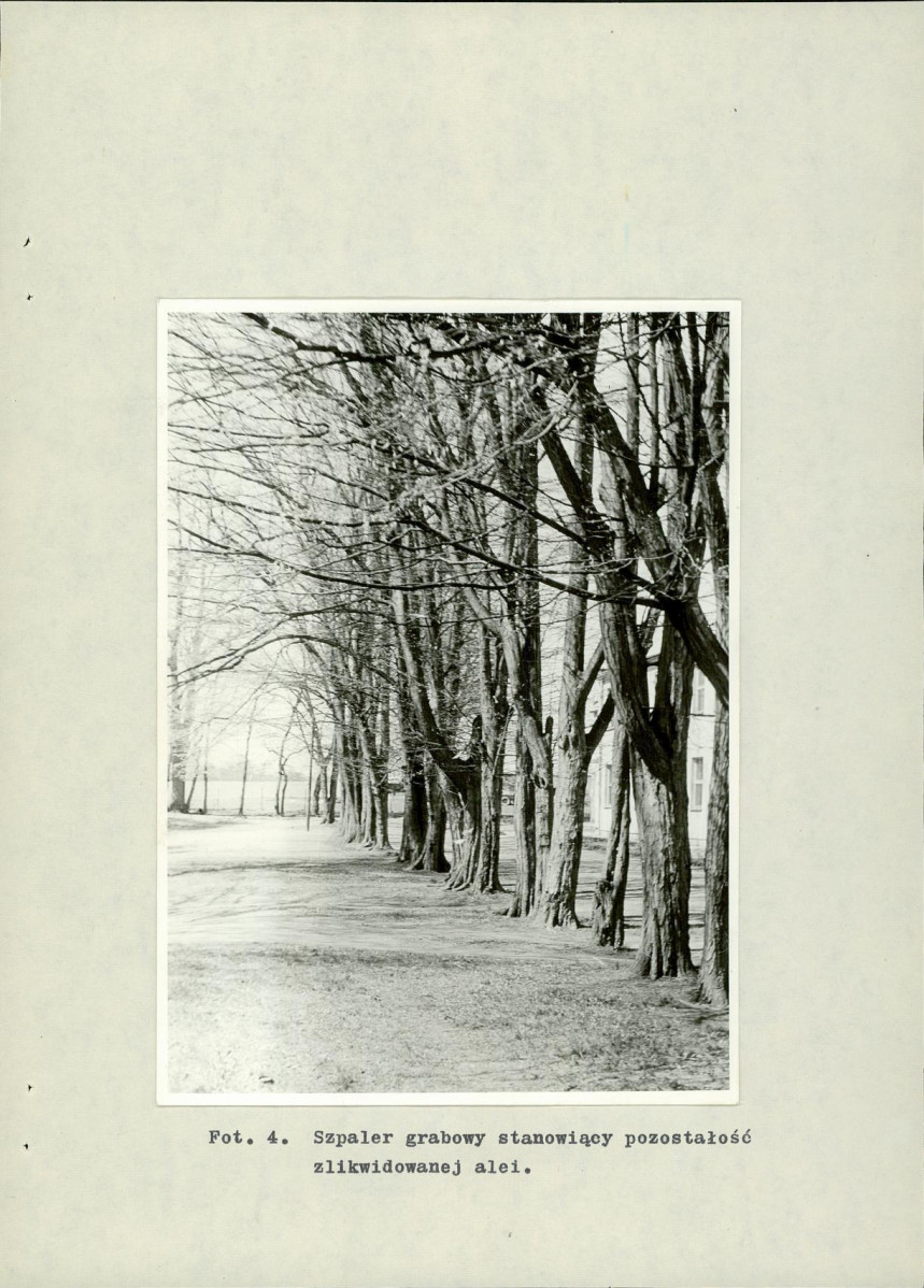 Ewidencja parkowa, skan nr 37