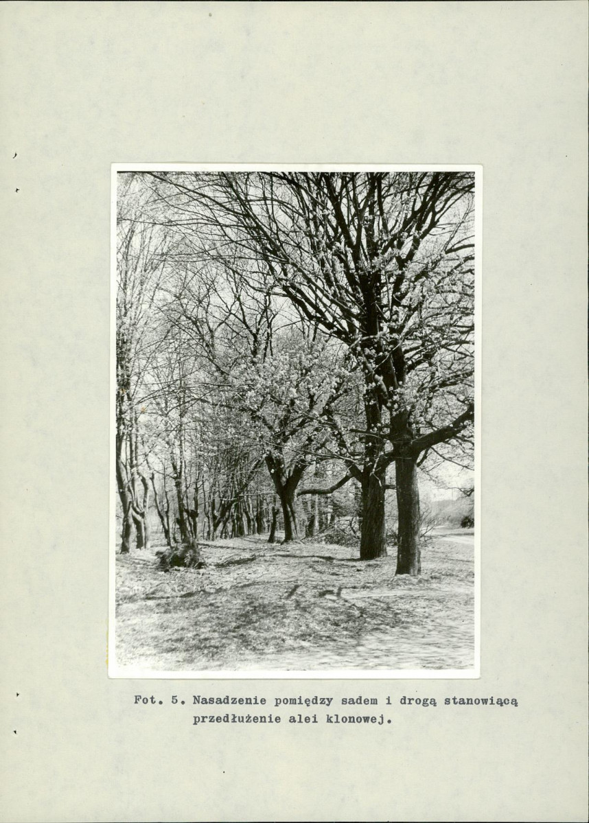 Ewidencja parkowa, skan nr 38