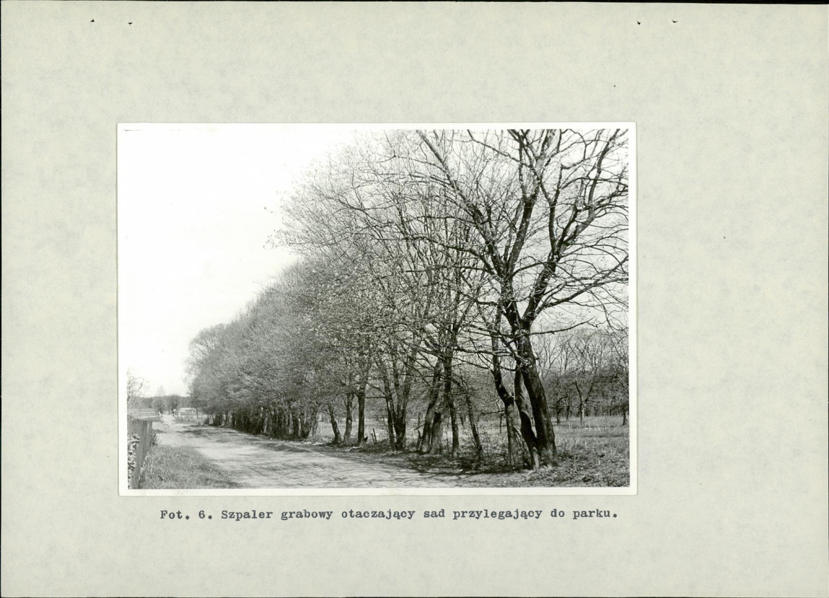 Ewidencja parkowa, skan nr 39