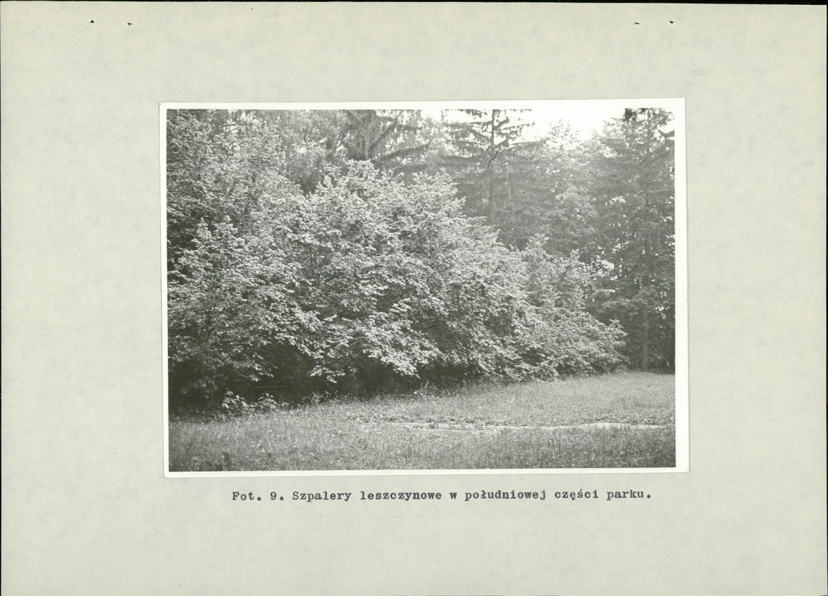 Ewidencja parkowa, skan nr 42