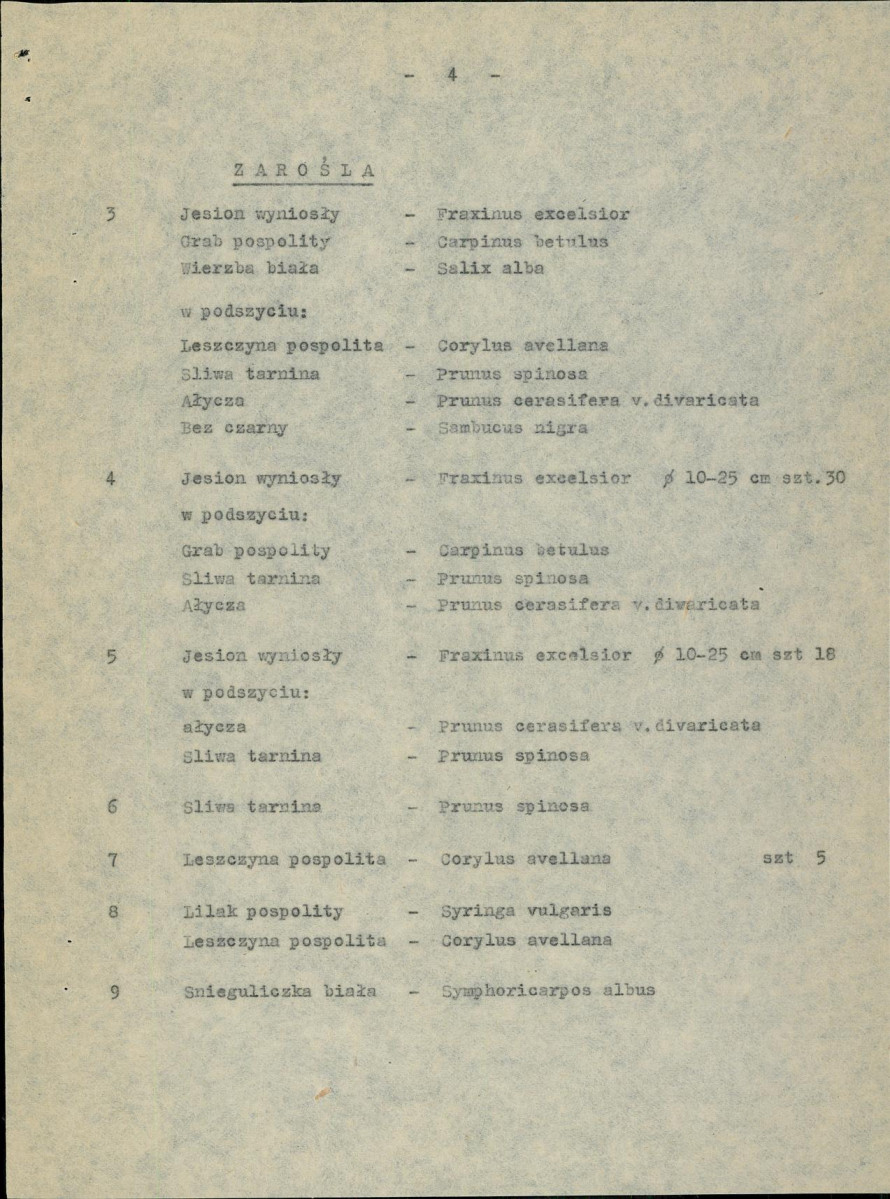 Ewidencja parkowa, skan nr 12