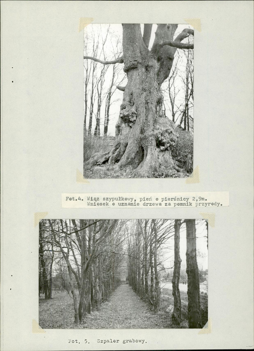 Ewidencja parkowa, skan nr 16