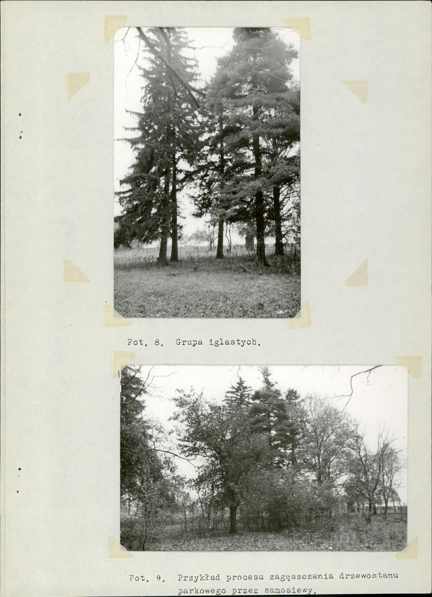 Ewidencja parkowa, skan nr 18