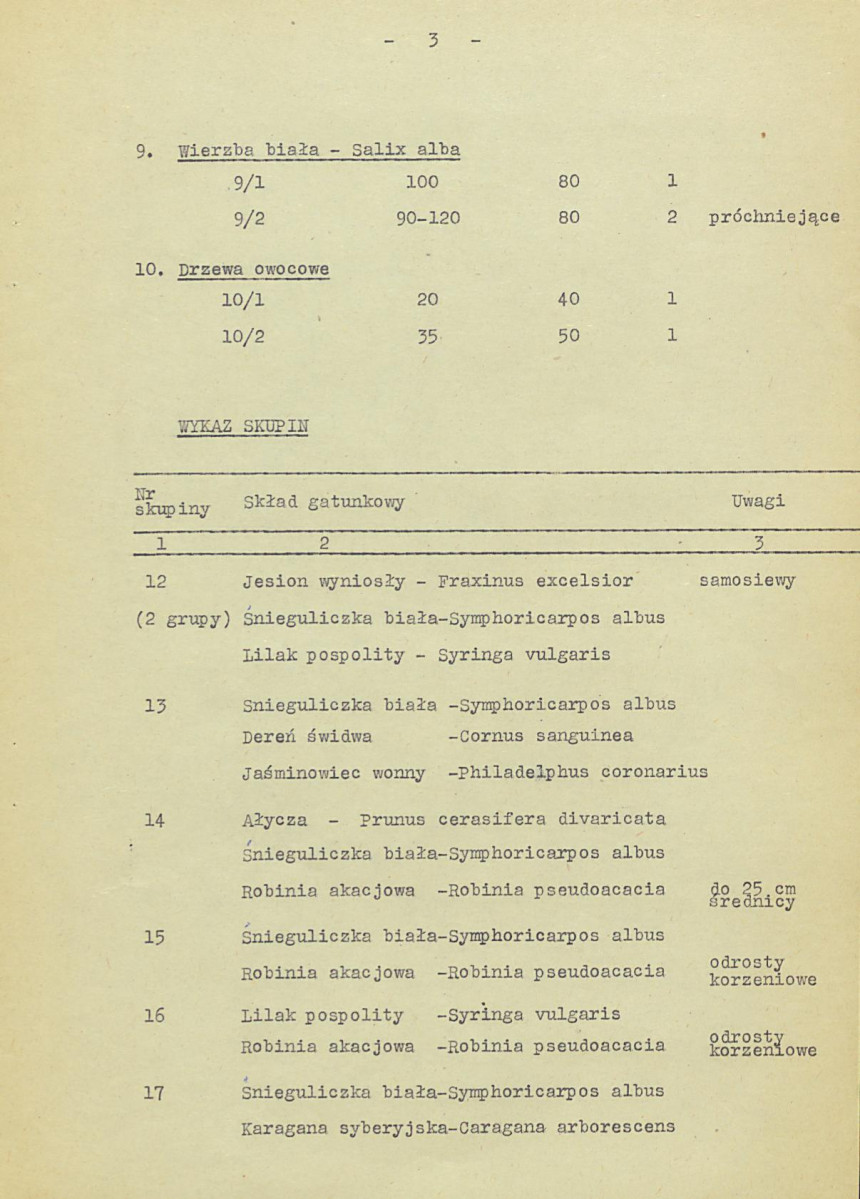 EP - Ewidencja parkowa, skan nr 19