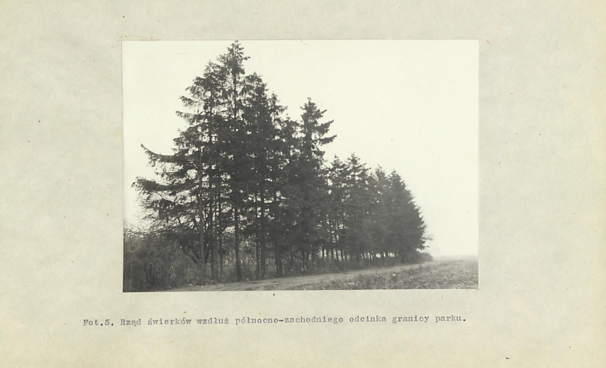 EP - Ewidencja parkowa, skan nr 56