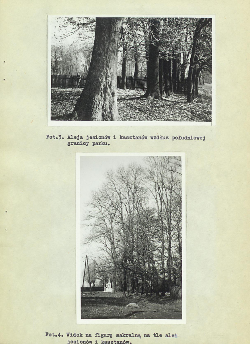 EP - Ewidencja parkowa, skan nr 28