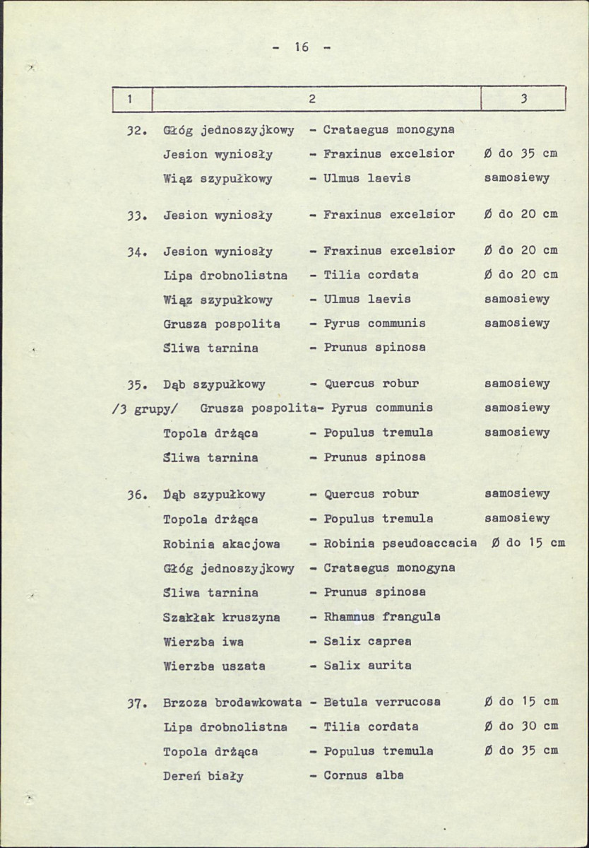 Ewidencja parkowa, skan nr 23