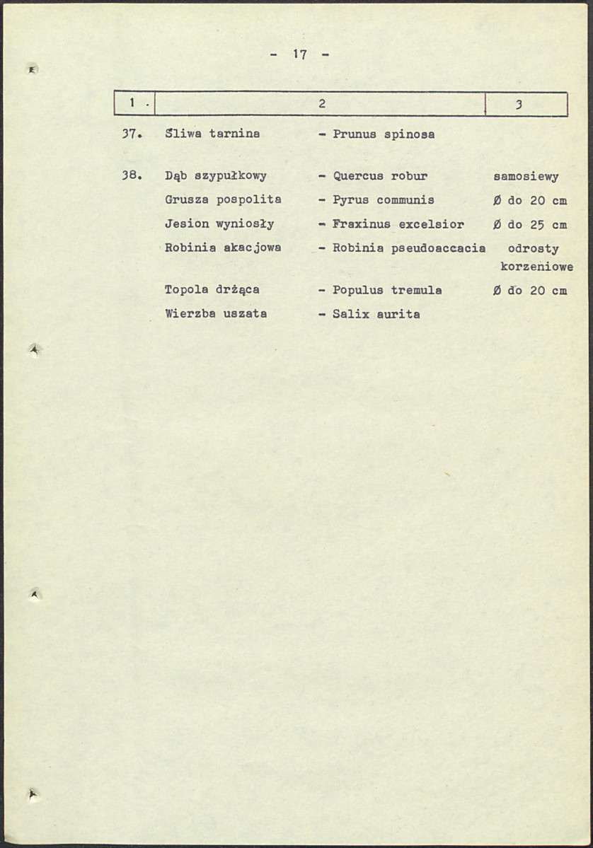 Ewidencja parkowa, skan nr 24