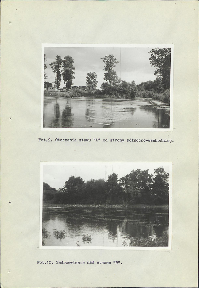 Ewidencja parkowa, skan nr 36