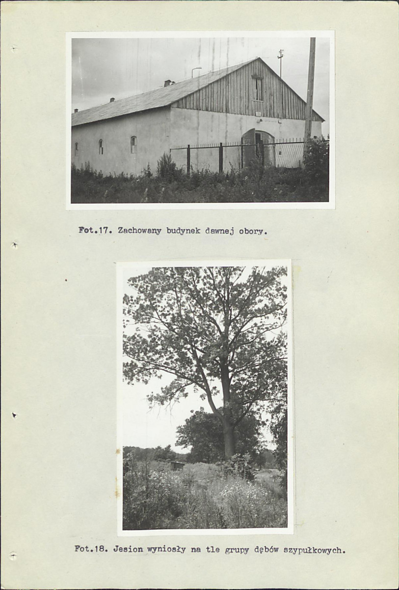 Ewidencja parkowa, skan nr 40