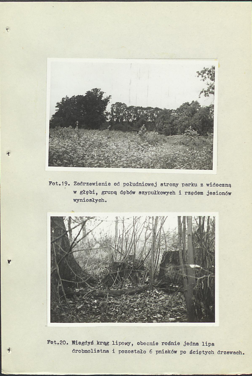 Ewidencja parkowa, skan nr 41