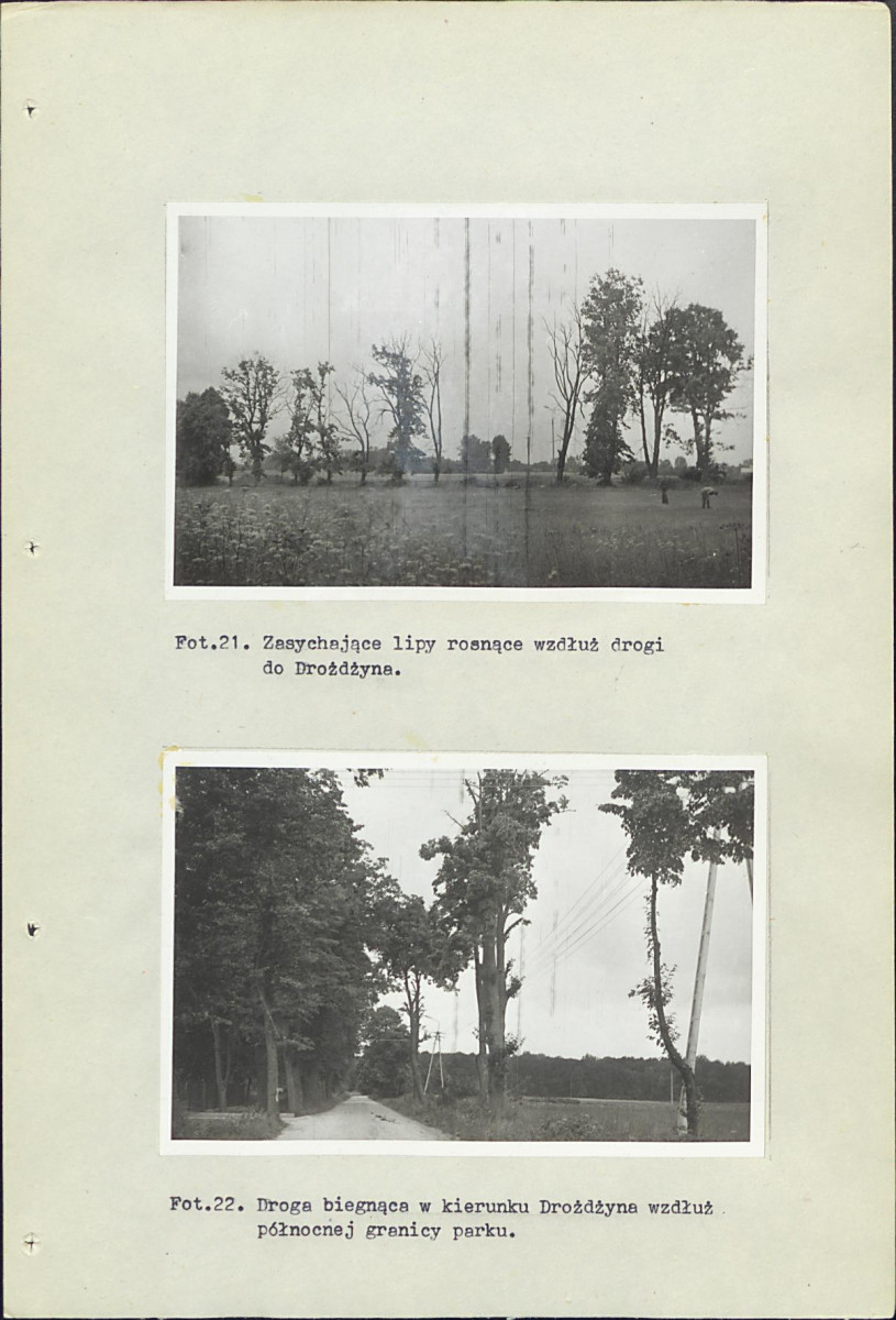 Ewidencja parkowa, skan nr 42