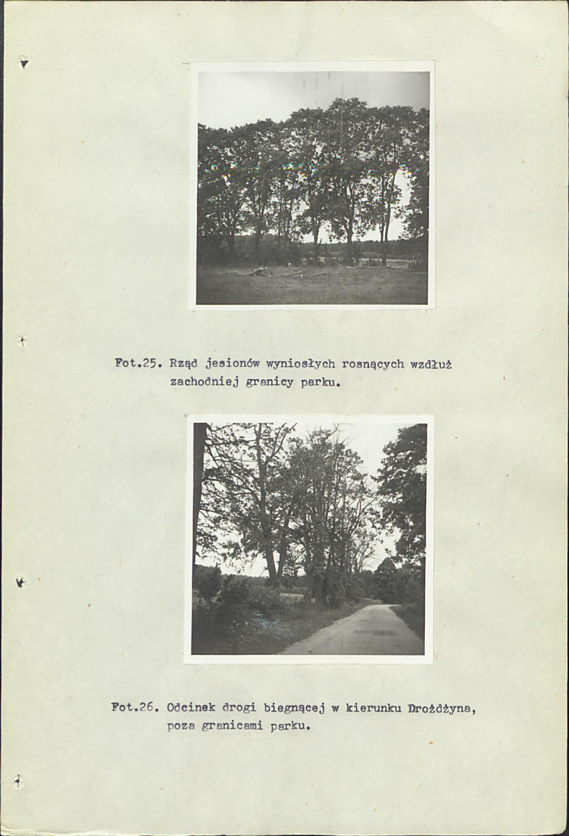 Ewidencja parkowa, skan nr 44