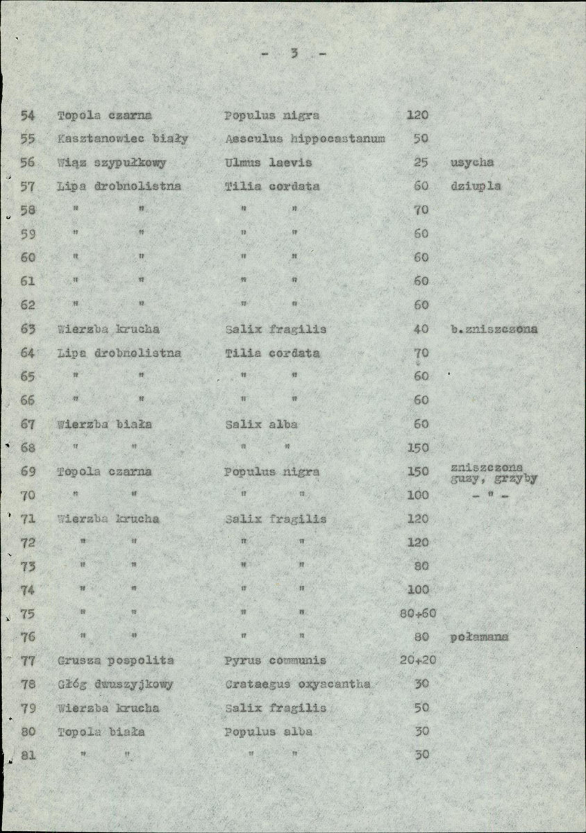 EP - Ewidencja parkowa, skan nr 26