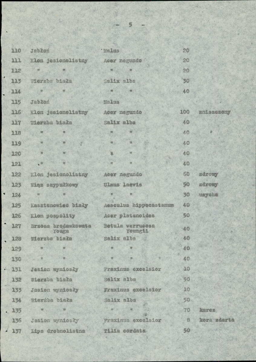 EP - Ewidencja parkowa, skan nr 28