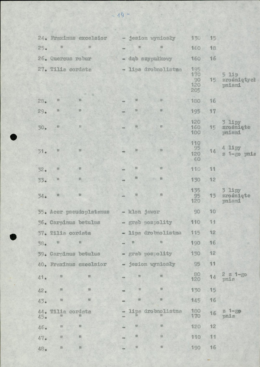 Ewidencja parkowa, skan nr 22