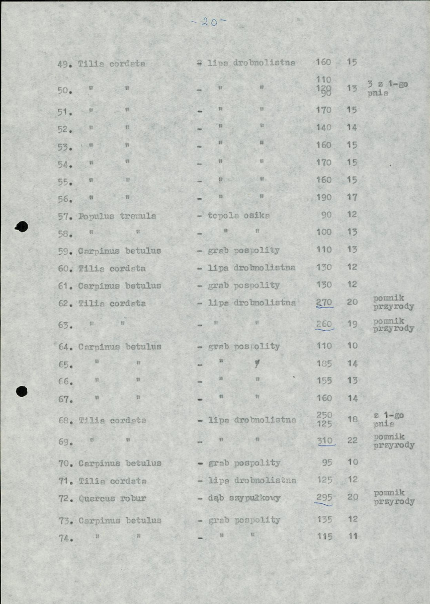 Ewidencja parkowa, skan nr 23