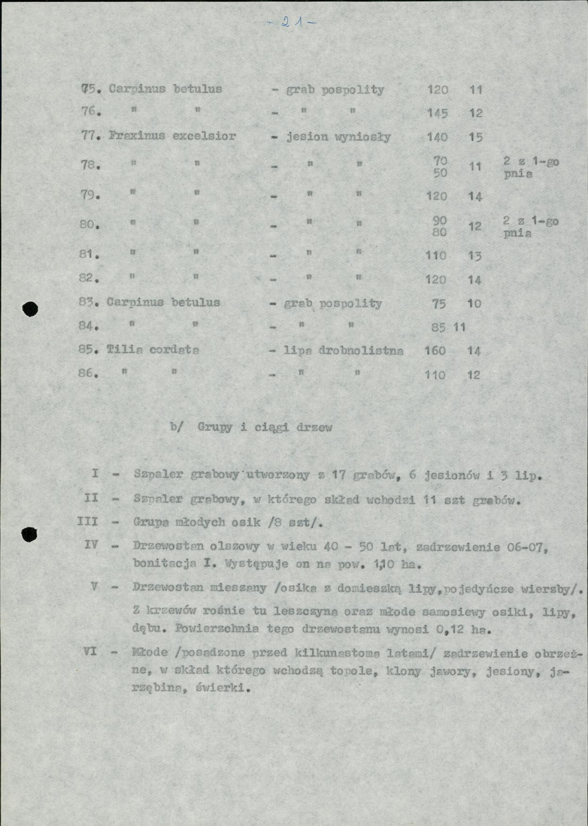 Ewidencja parkowa, skan nr 24