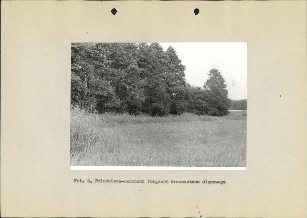 Ewidencja parkowa, skan nr 37