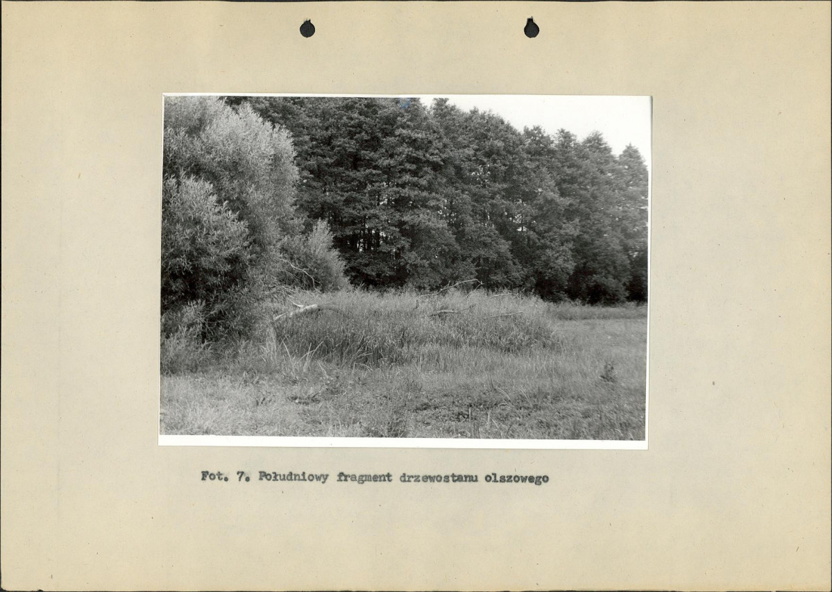 Ewidencja parkowa, skan nr 38