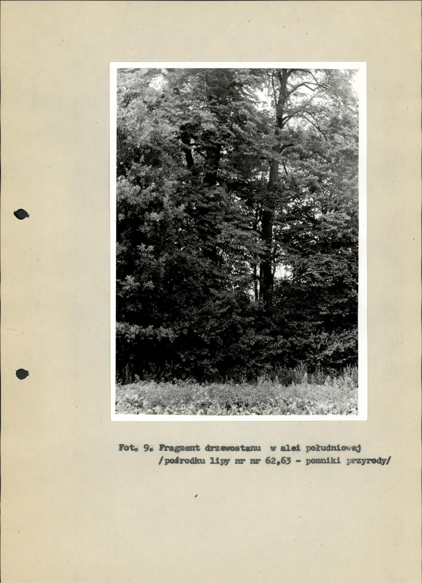 Ewidencja parkowa, skan nr 40